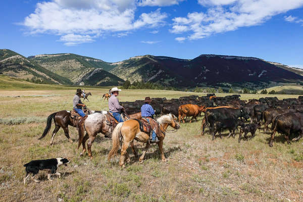 Le Montana à cheval