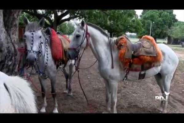 Le Pantanal à cheval