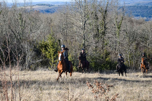 Le Périgord à cheval