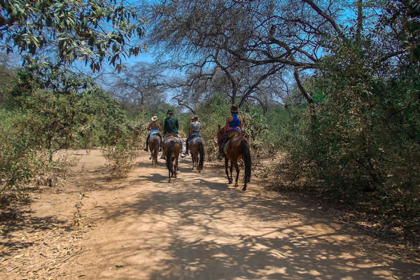 Le Pérou à cheval