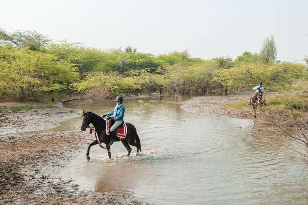 Le Rajasthan à cheval