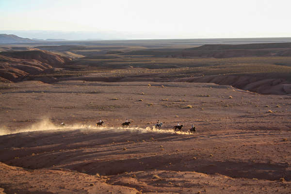 Le Sirwa à cheval