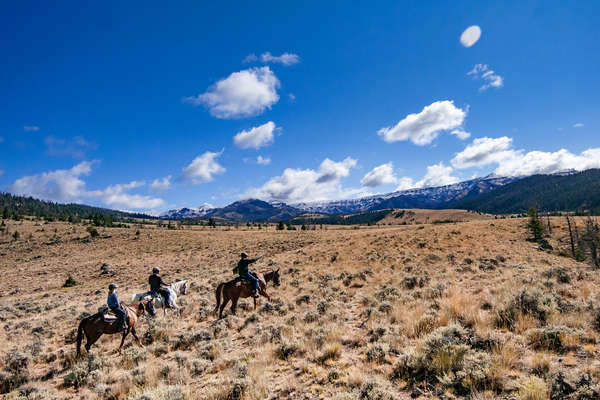 Le Wyoming à cheval