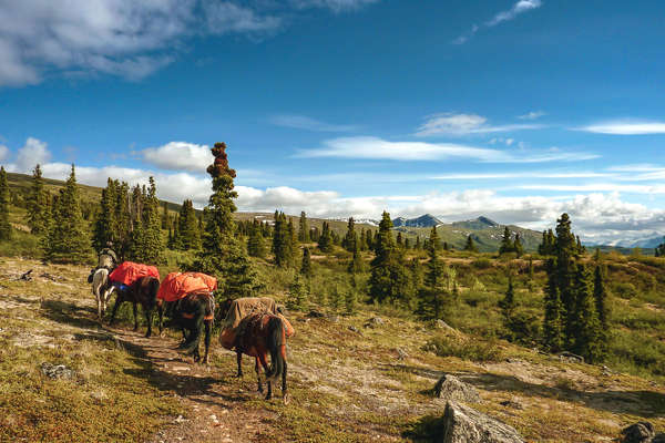 Le Yukon à cheval