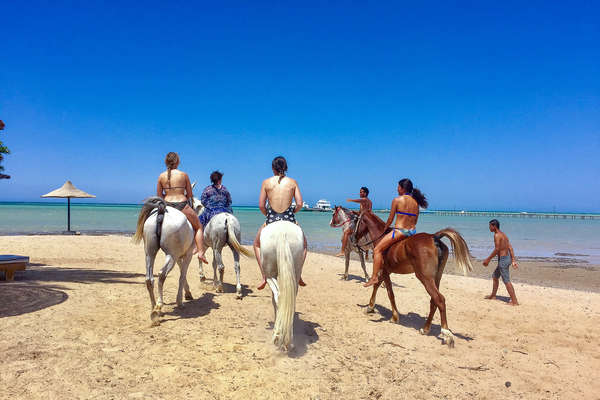 L'Egypte à cheval