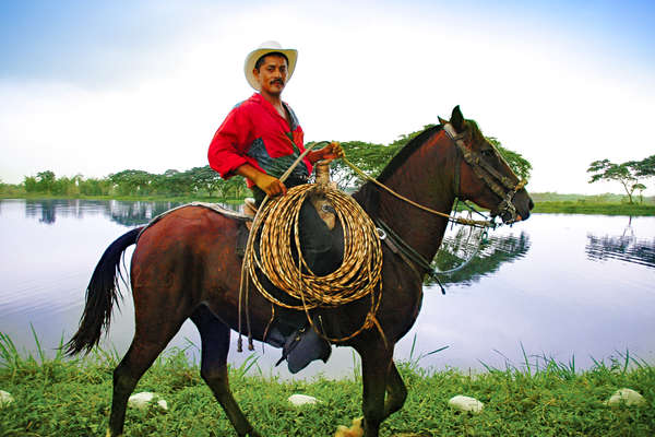 L'Équateur à cheval