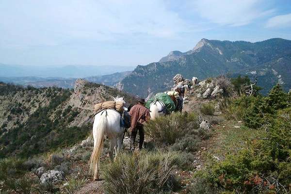 A cheval dans les Alpes de Haute Provence