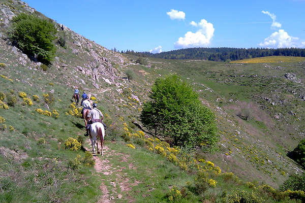 Chevaux et Cévennes