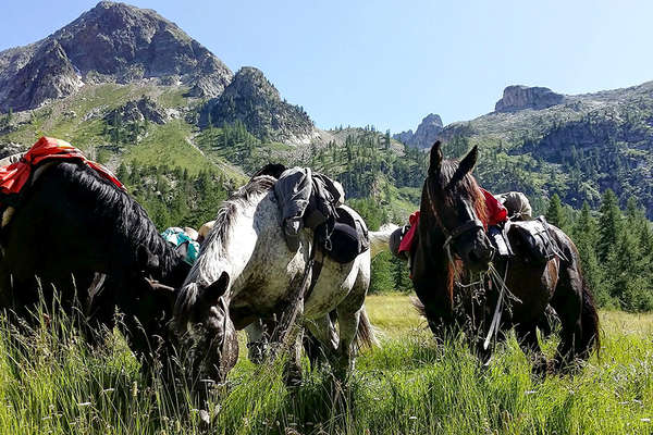 A cheval dans le Mercantour