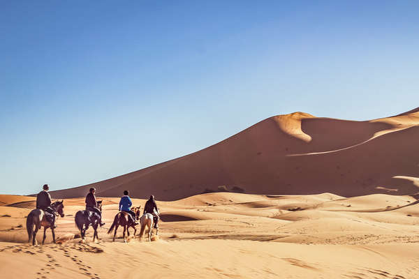 Les dunes marocaines à cheval