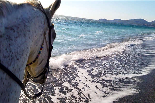 Les eaux bleues de Turquie