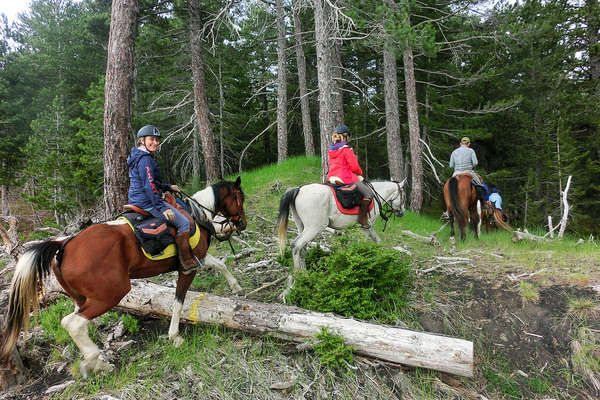 Les forêts de Sicile à cheval