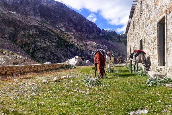 Les montagnes de Ligurie à cheval