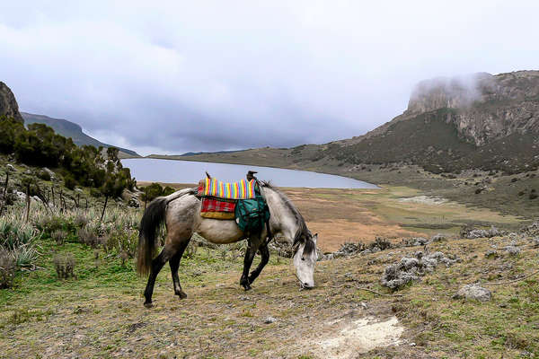 Les montagnes du Balé à cheval