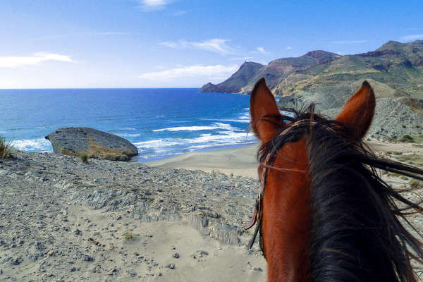 Les plages andalouses à cheval