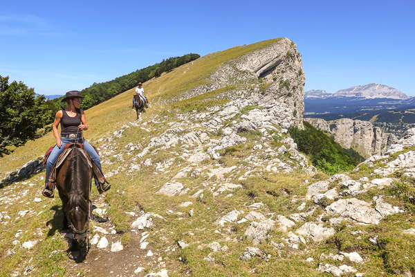 Les plateaux du Vercors à cheval