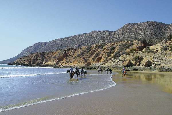 Chevaux sur la plage au Maroc