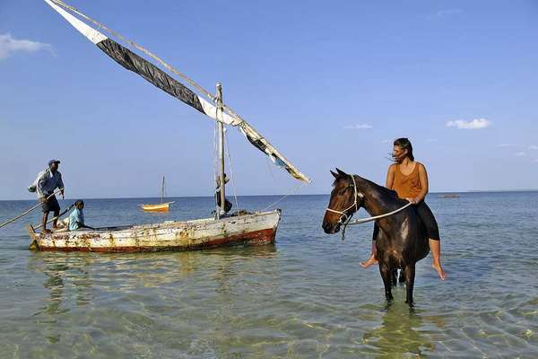 Cheval et cavalier au Mozambique