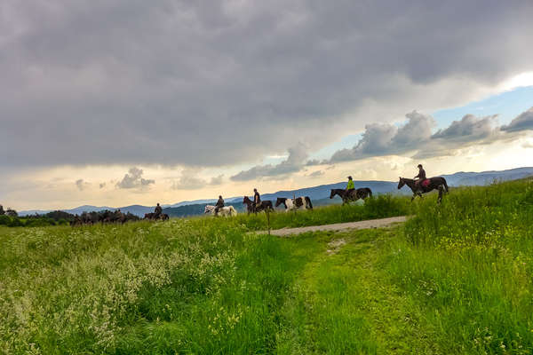 Les vallées de la Pologne à cheval