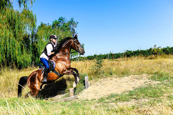 Les Winnelands à cheval