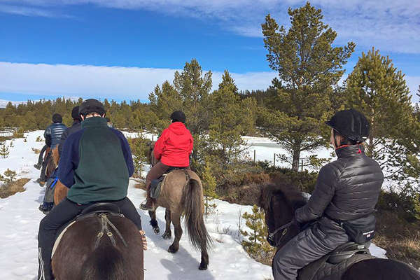 Norvège à cheval l'hiver