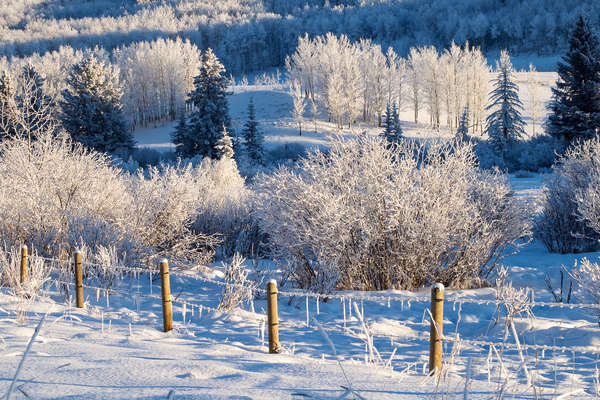 L'hiver au Canada