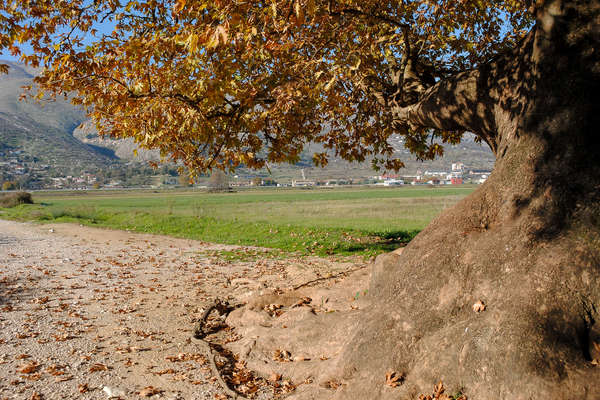 L'hiver en Albanie