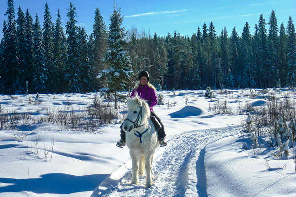 L'hiver suédois à cheval