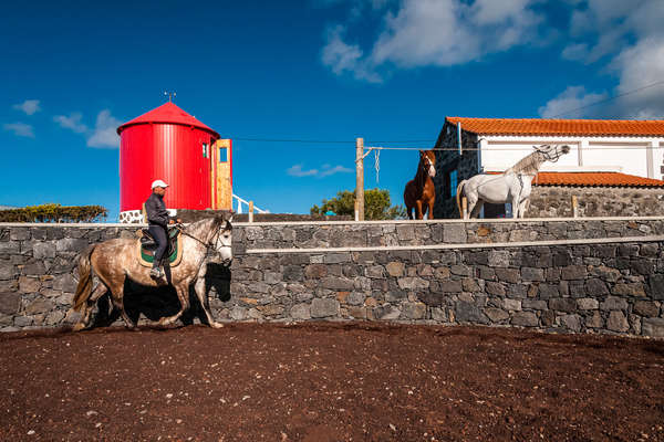 L'île de Faial à cheval