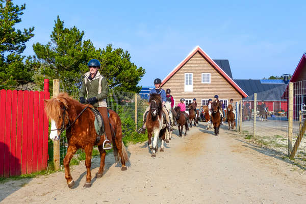 L'île de Romo à cheval