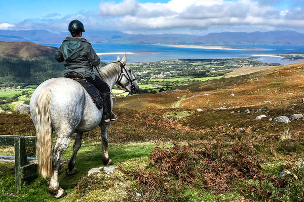 L'Irlande à cheval