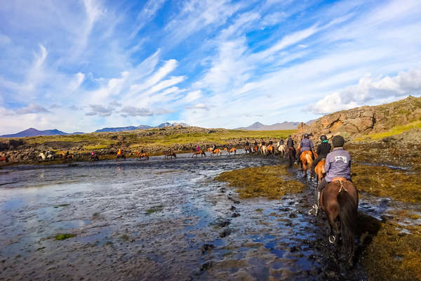 L'Islande à cheval