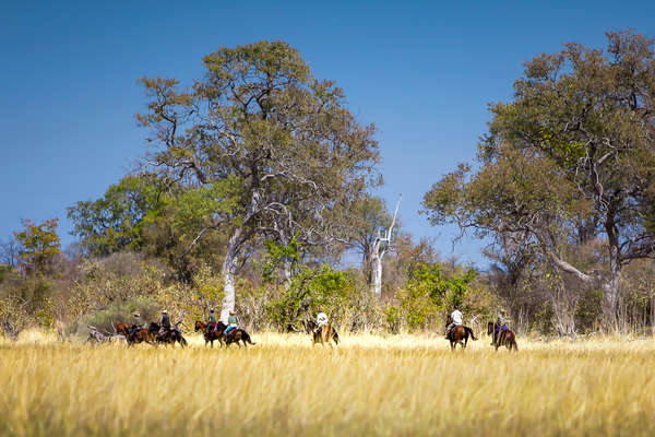 L'Okavango à cheval