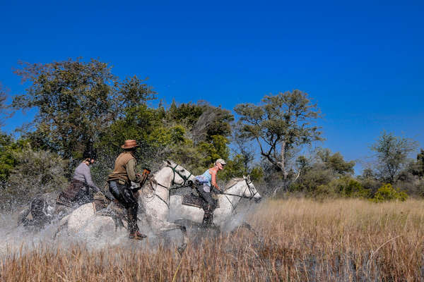 L'Okavango à cheval