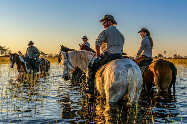 L'Okavango à cheval