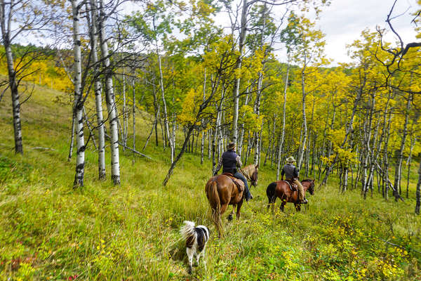 L'Ouest du Canada à cheval