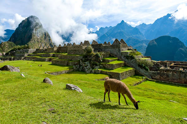 Machu Picchu - Pérou à cheval