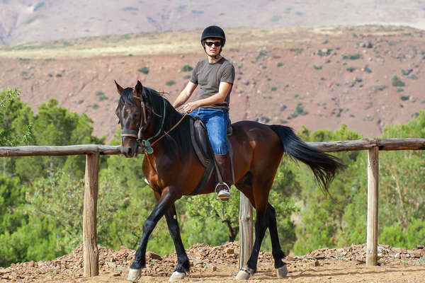 Maroc à cheval