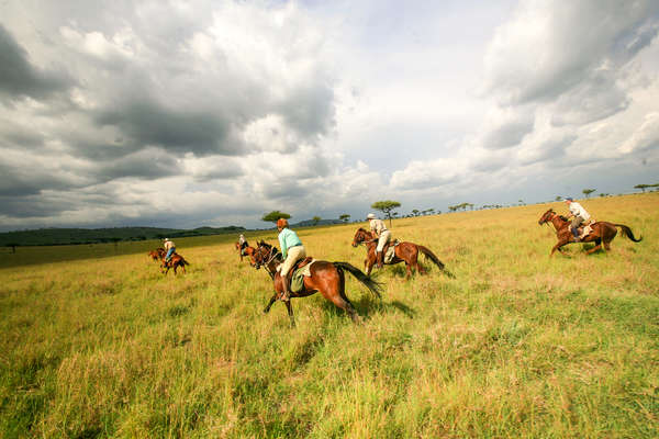 Masaï Mara au galop