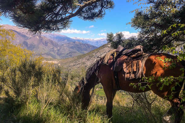 Mercantour à cheval