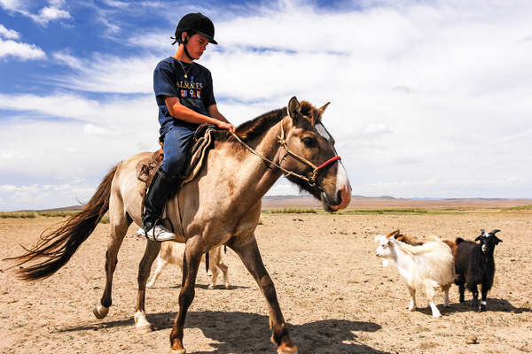 Mongolie à cheval