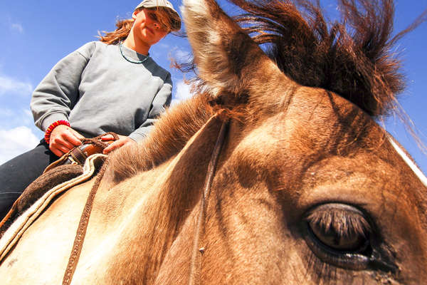 Mongolie à cheval