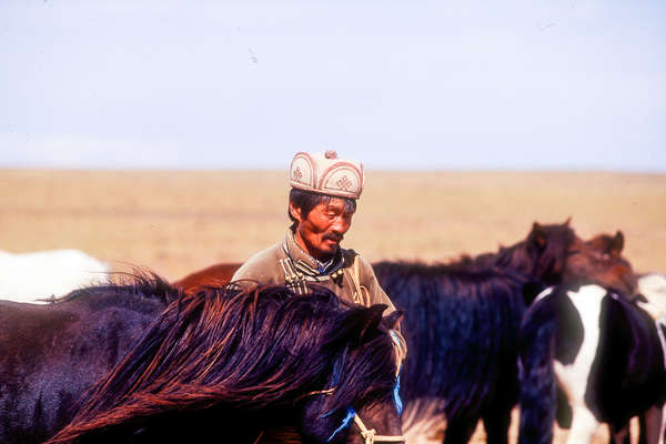 Mongolie à cheval