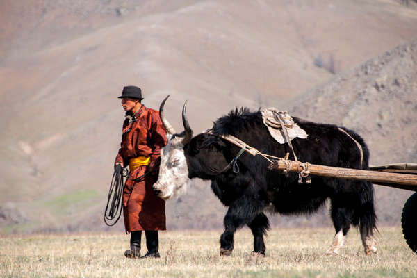 Mongolie à cheval