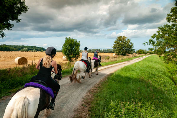 Mont Saint Michel à cheval