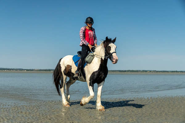 Mont Saint Michel à cheval