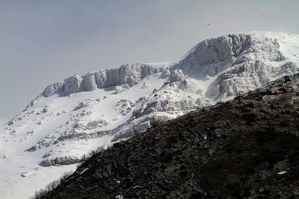 Montagne enneigée