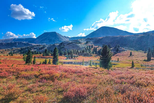 Montagnes dans l'Altaï