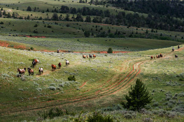 Montana à cheval