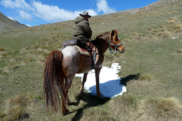 Cavalier dans les Alpes de Haute Provence